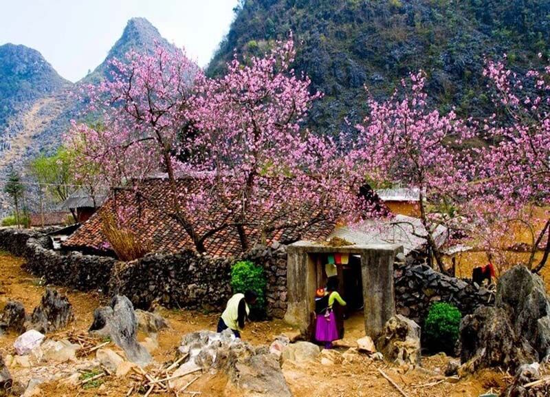 Capture the sustainable charm of Mai Chau’s nature